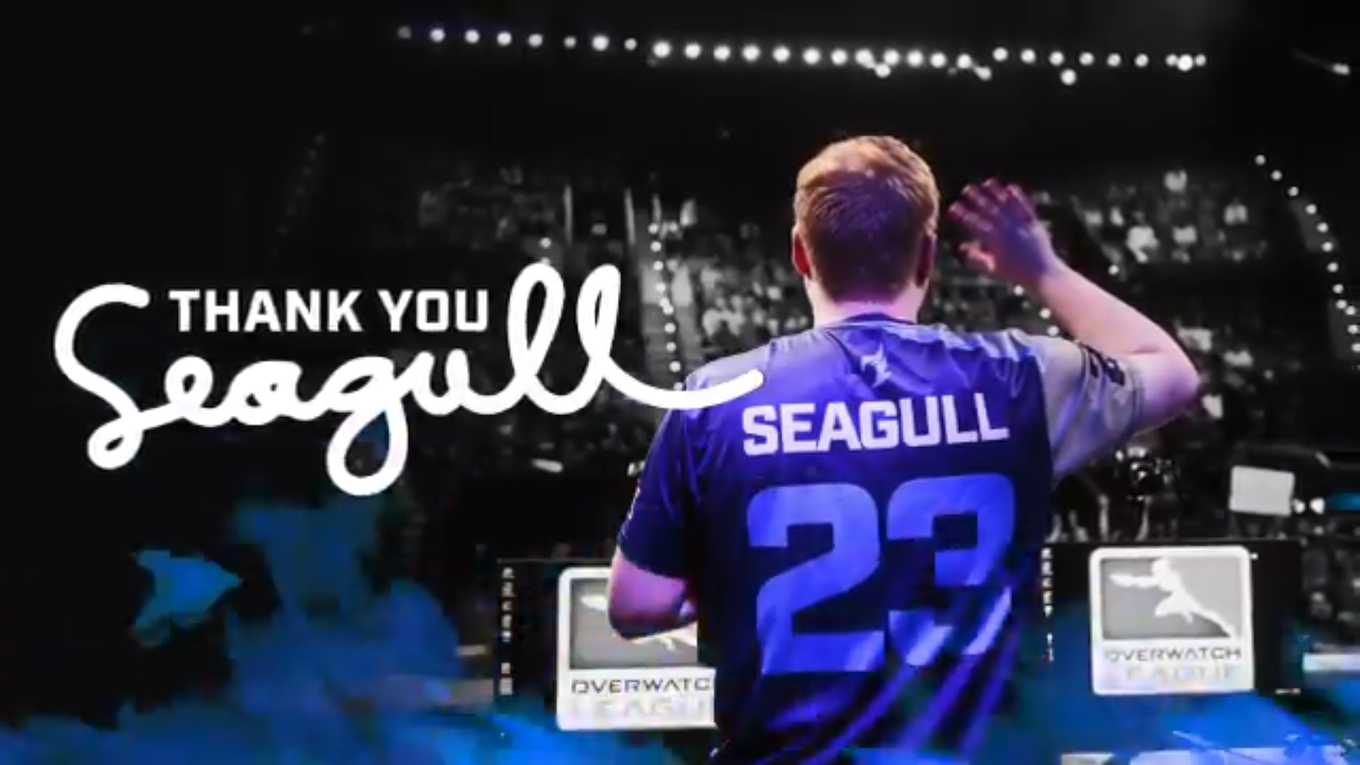 thank you seagull