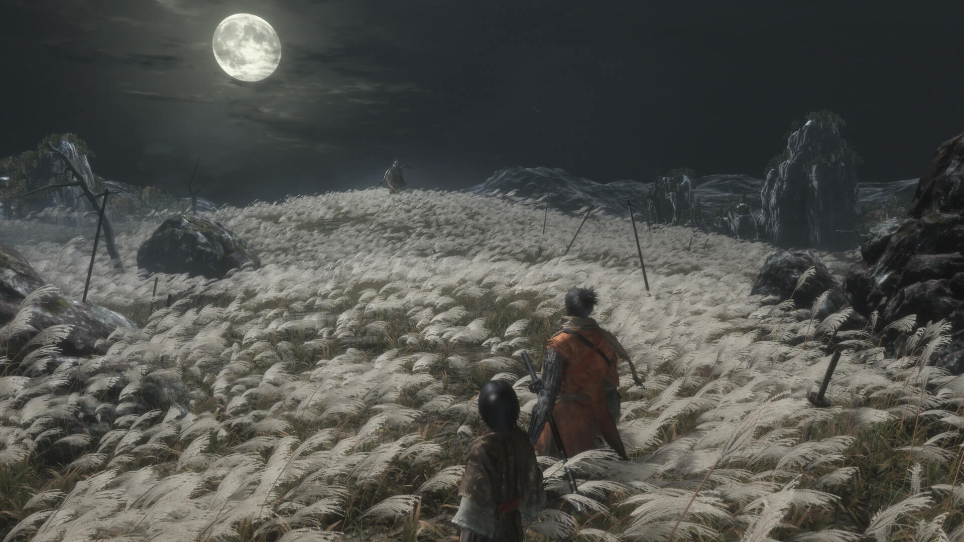 Sekiro_03.jpg