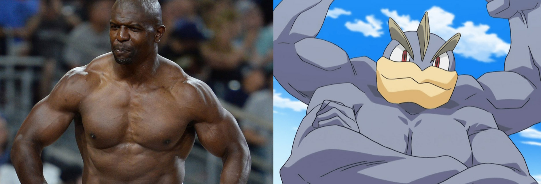 terry_machamp.jpg