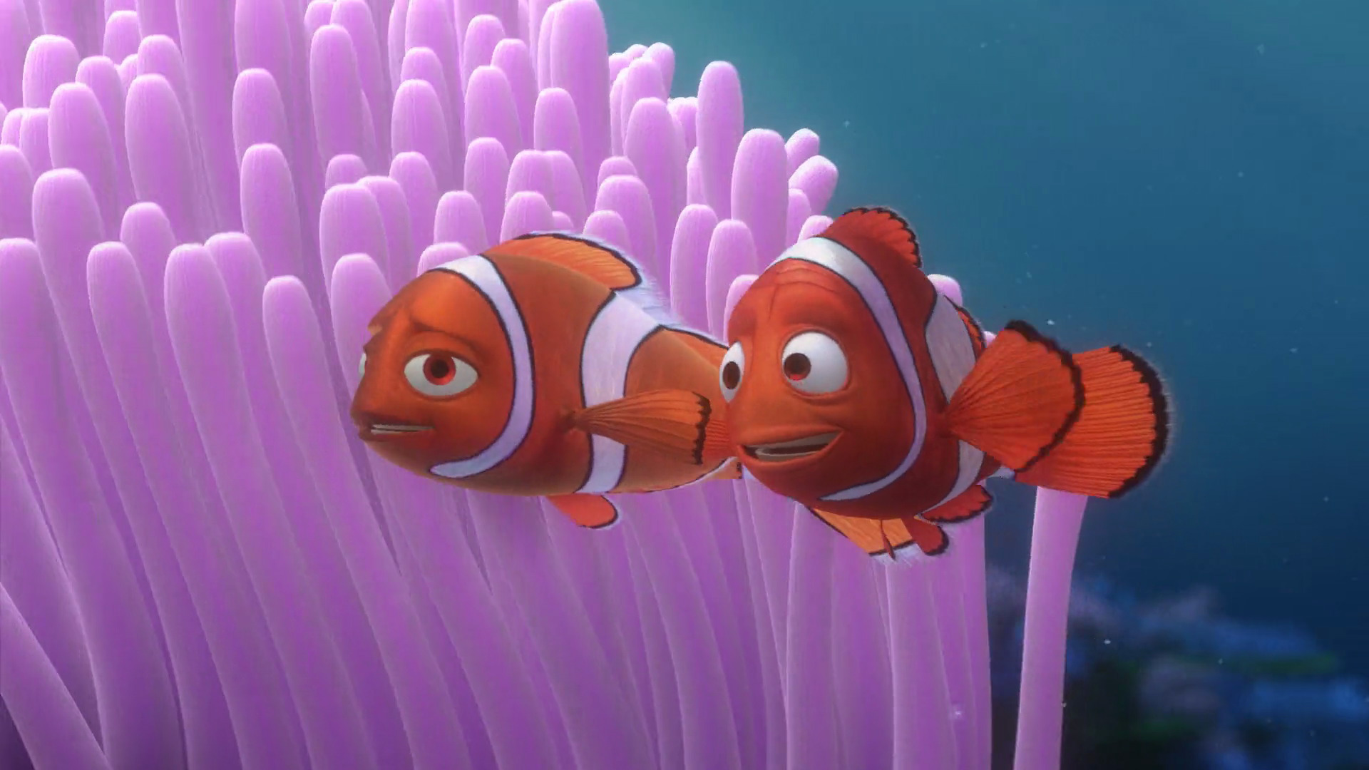 finding nemo marlin coral.jpg