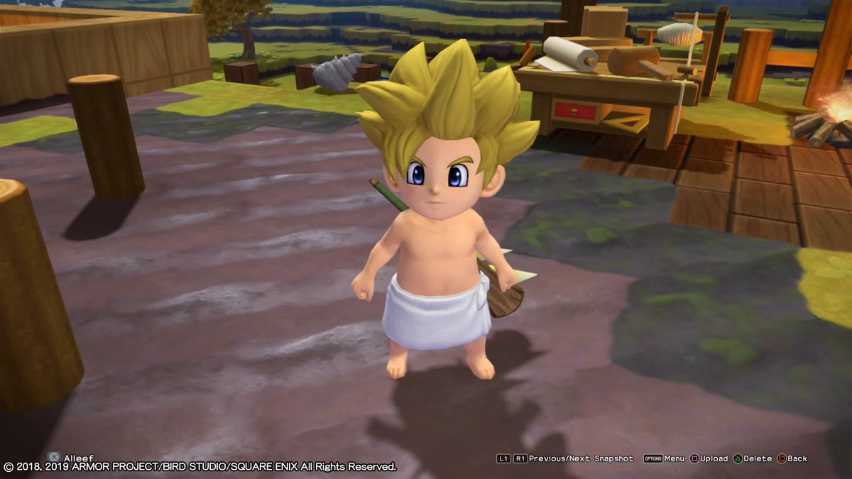 Dragon Quest Builders 2 8