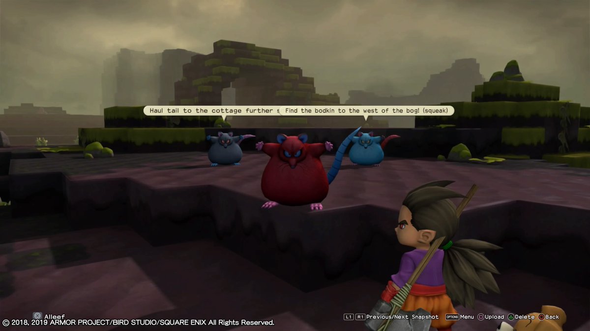 Dragon Quest Builders 2 9