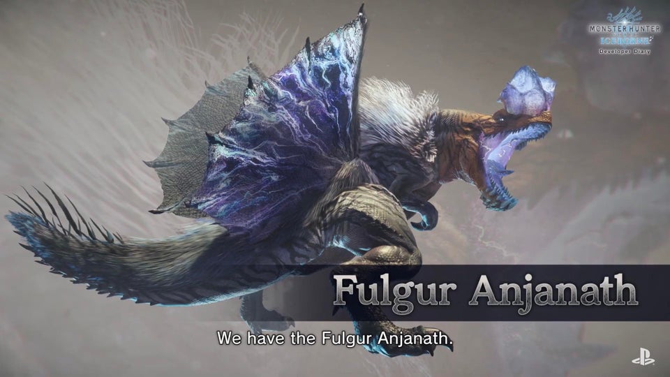 Fulgur Anha.jpg