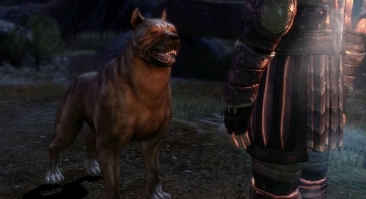 dragon-age-origins-mabari.jpg