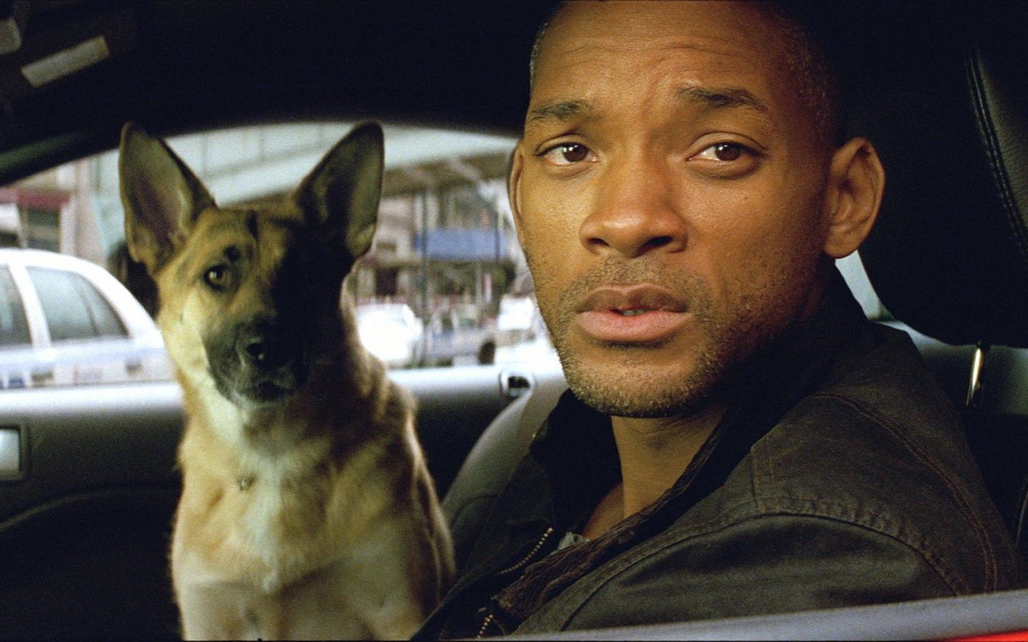 99a1cd53e92a7a073651606b50f24331