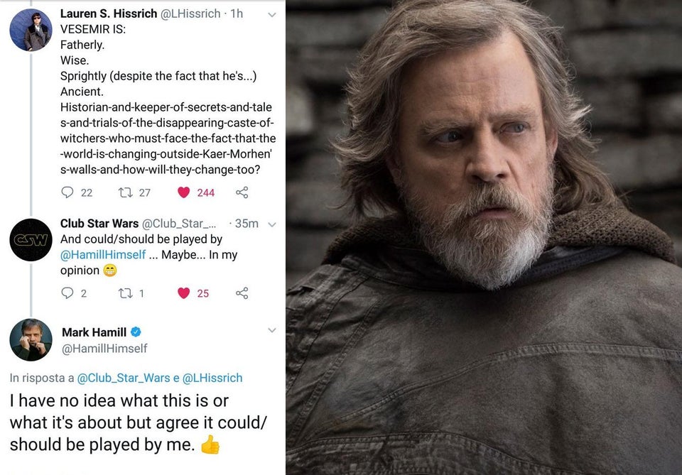 The Witcher Netflix Mark Hamill