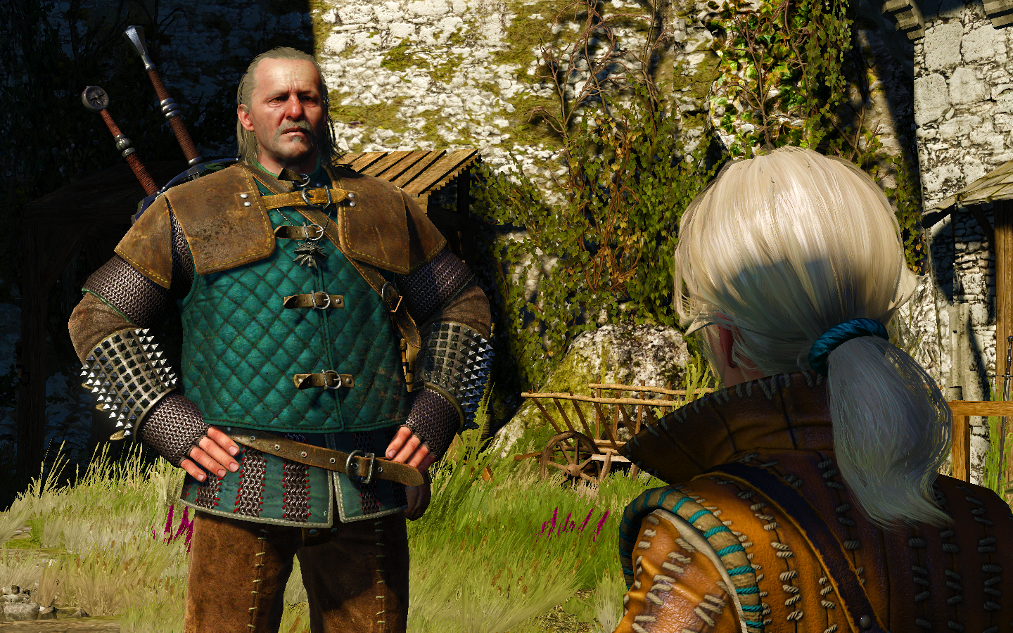 Vesemir The Witcher 3