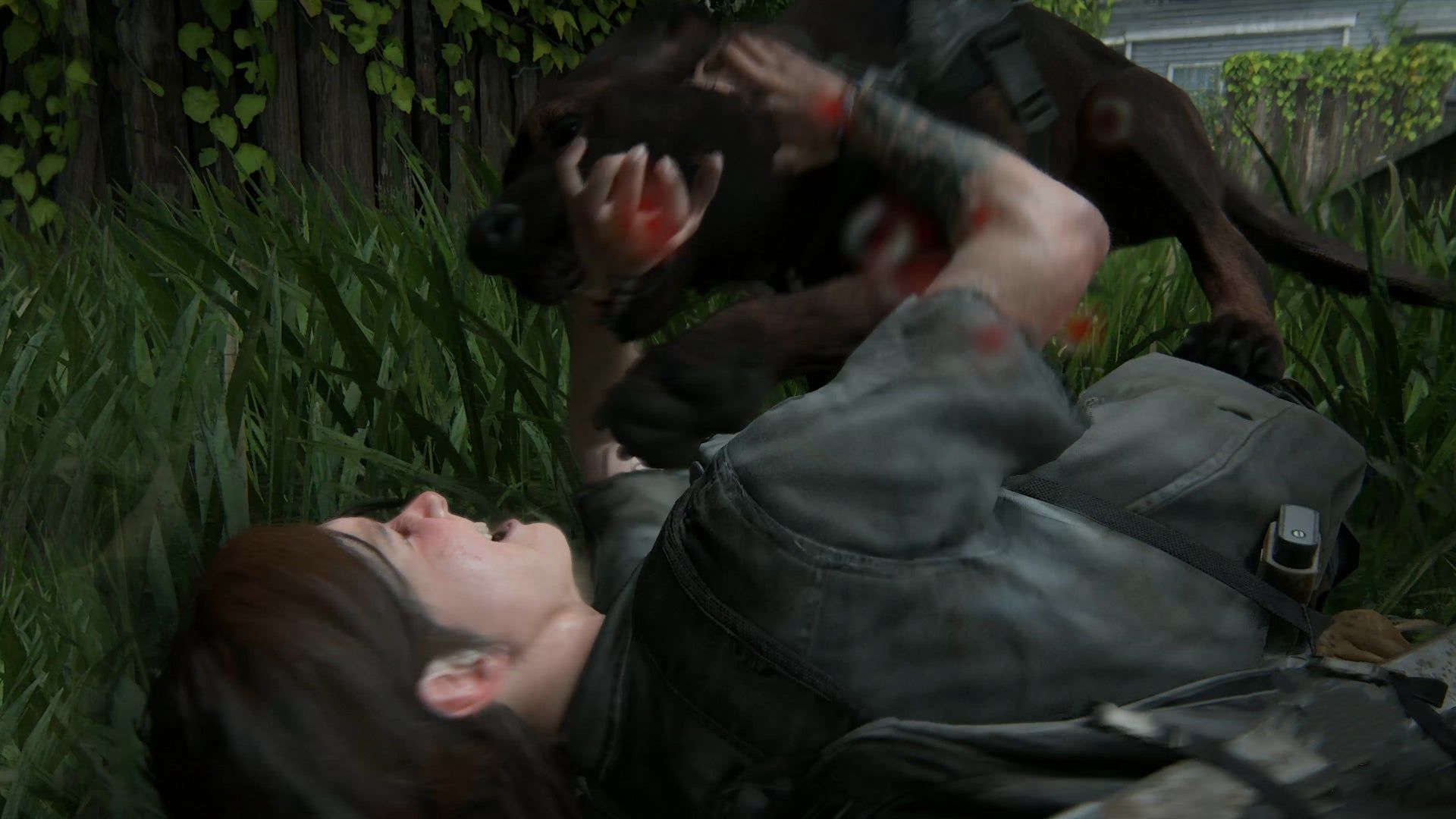 The Last Of Us Part 2 Dog