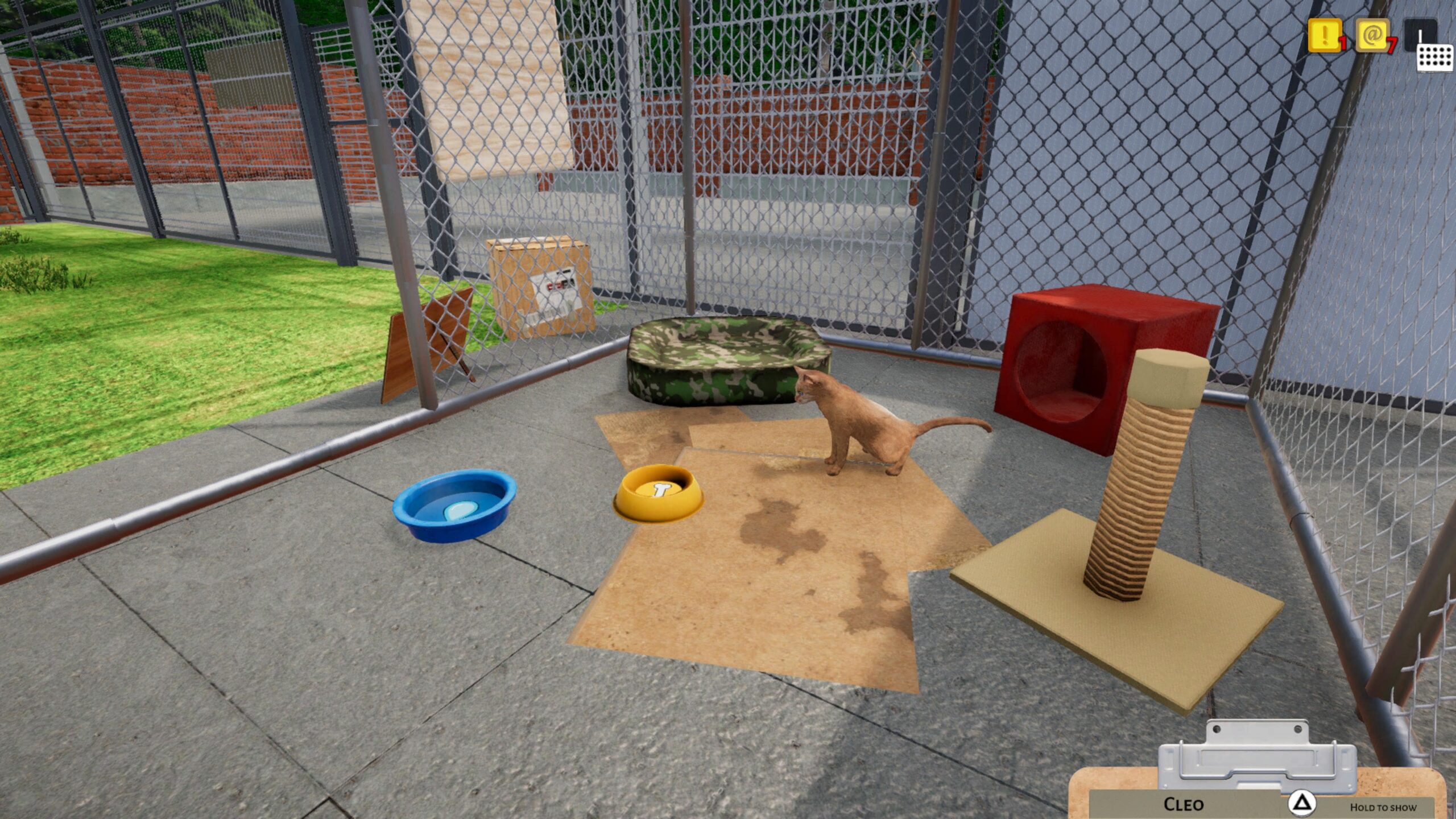 Animal Shelter Simulator Debuts on PS4 and PS5 