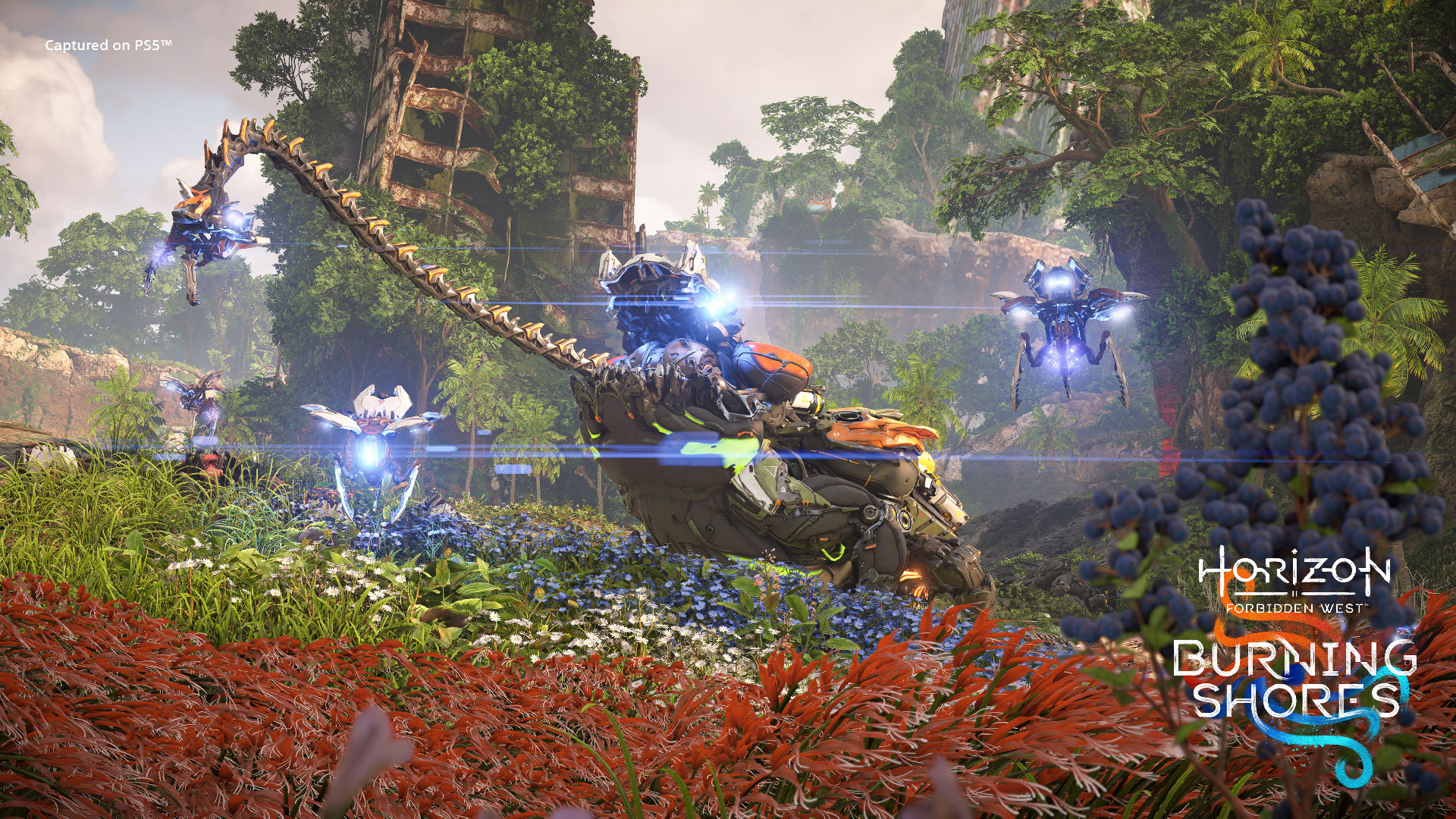 Horizon Forbidden West DLC 'Burning Shores' Reveal Imminent — Report