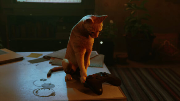 Stray Comes To Xbox Consoles This August